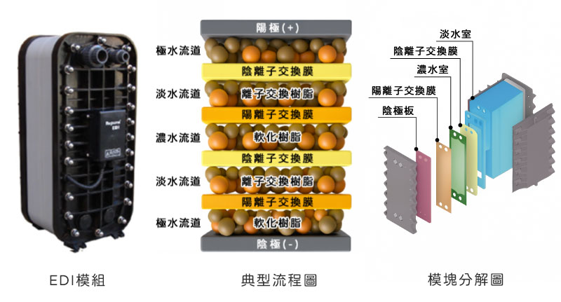 EDI模組結構與運作原理示意圖，顯示離子移除與再生過程